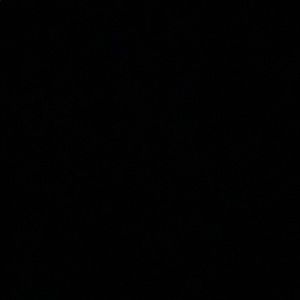 Meet your Posher, Allie